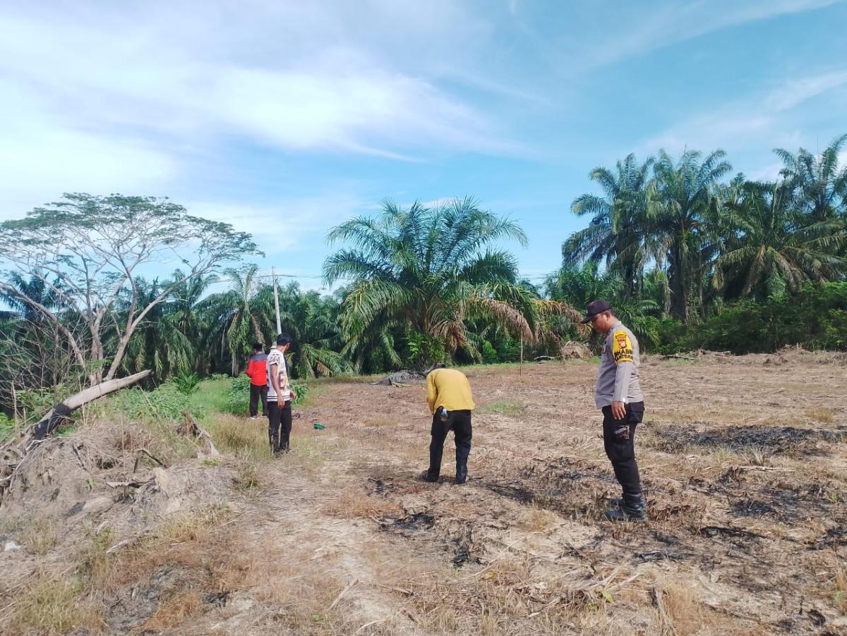 Polisi Turun ke Ladang, Polsek Rokan IV Koto Tanam Jagung Bersama Warga Demi Ketahanan Pangan